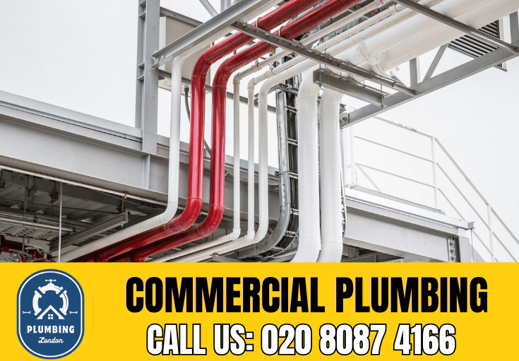 commercial plumbing Bellingham