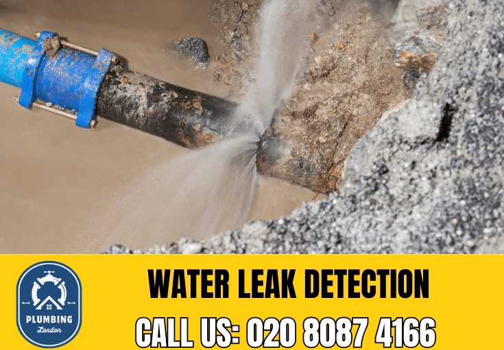 leak detection Bellingham