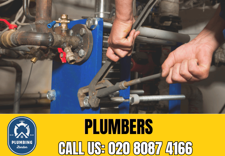  plumber Lower Sydenham