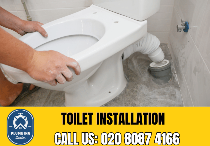 toilet fitters Bellingham